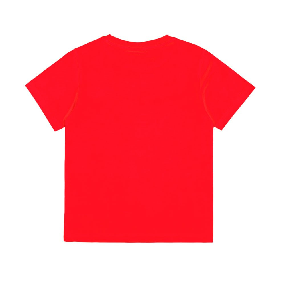 CAMISETA CHAMPION 306853-RS011