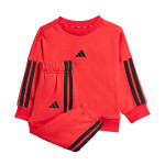 CHANDAL ADIDAS 3 BANDAS JN8006