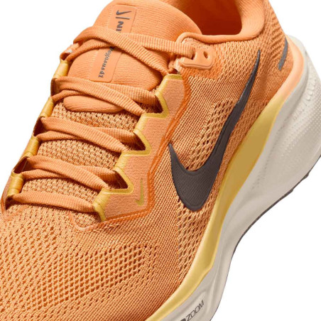 Zapatilla Nike Air Zoom Pegasus 41 FD2723-800