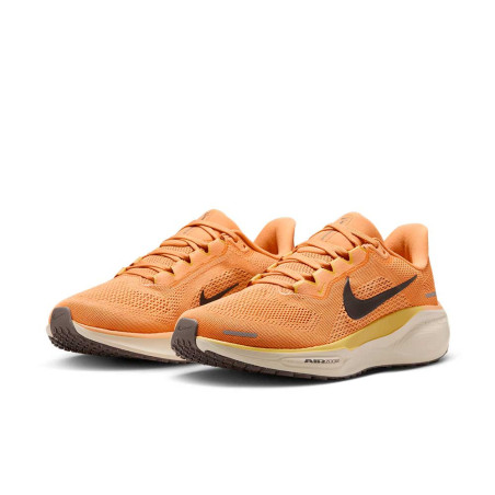 Zapatilla Nike Air Zoom Pegasus 41 FD2723-800