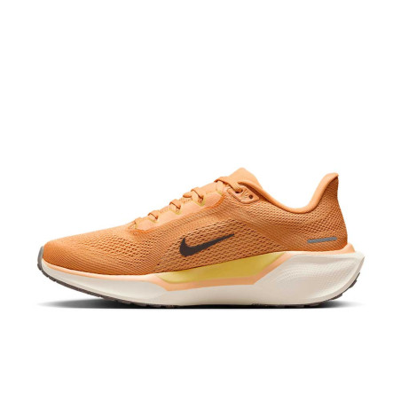 Zapatilla Nike Air Zoom Pegasus 41 FD2723-800