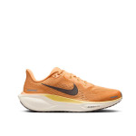 Zapatilla Nike Air Zoom Pegasus 41 FD2723-800