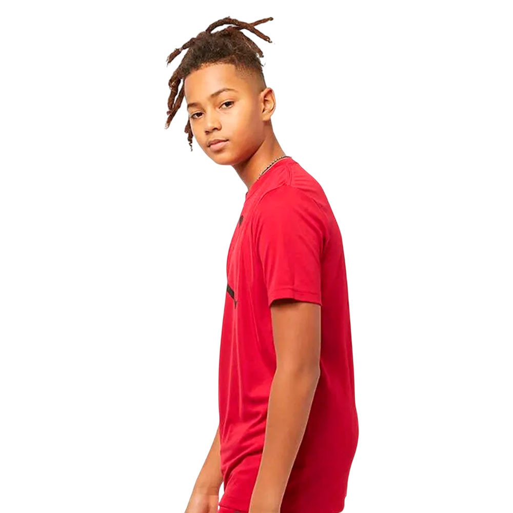 Camiseta Jordan Jumpman 954293-R78