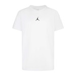 Camiseta Jordan 95D618-001