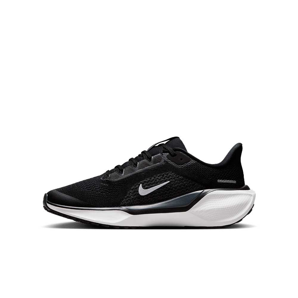 Zapatilla Nike Air Zoom Pegasus 41 FN5041-001