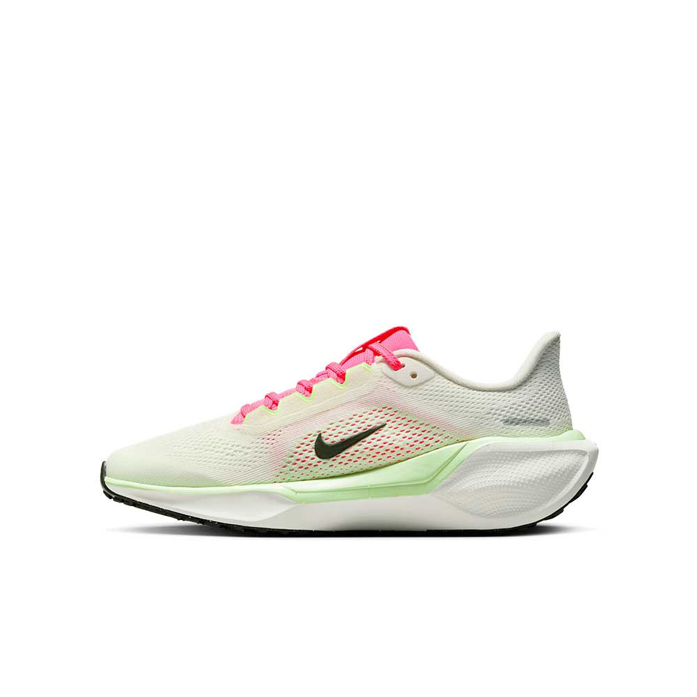 Zapatilla Nike Air Zoom Pegasus 41 FN5041-107