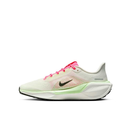 Zapatilla Nike Air Zoom Pegasus 41 FN5041-107