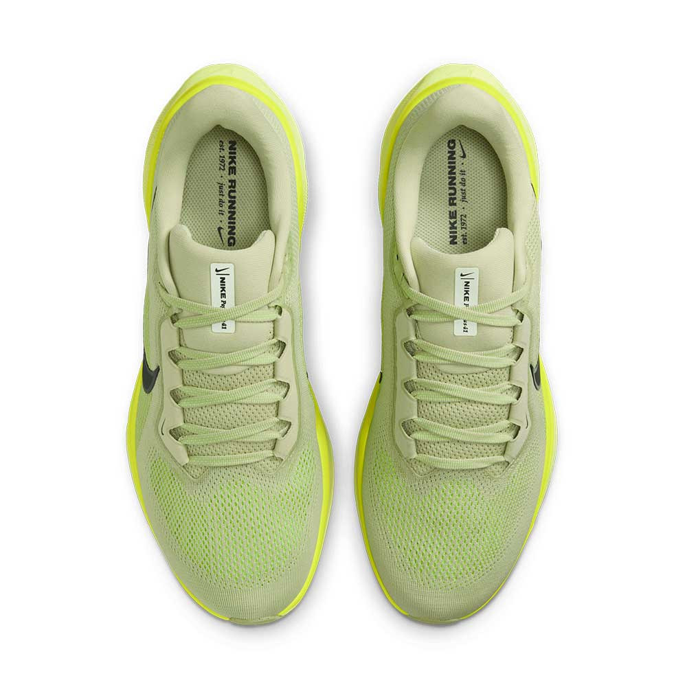 Zapatilla Nike Air Zoom Pegasus 41 FD2722-303