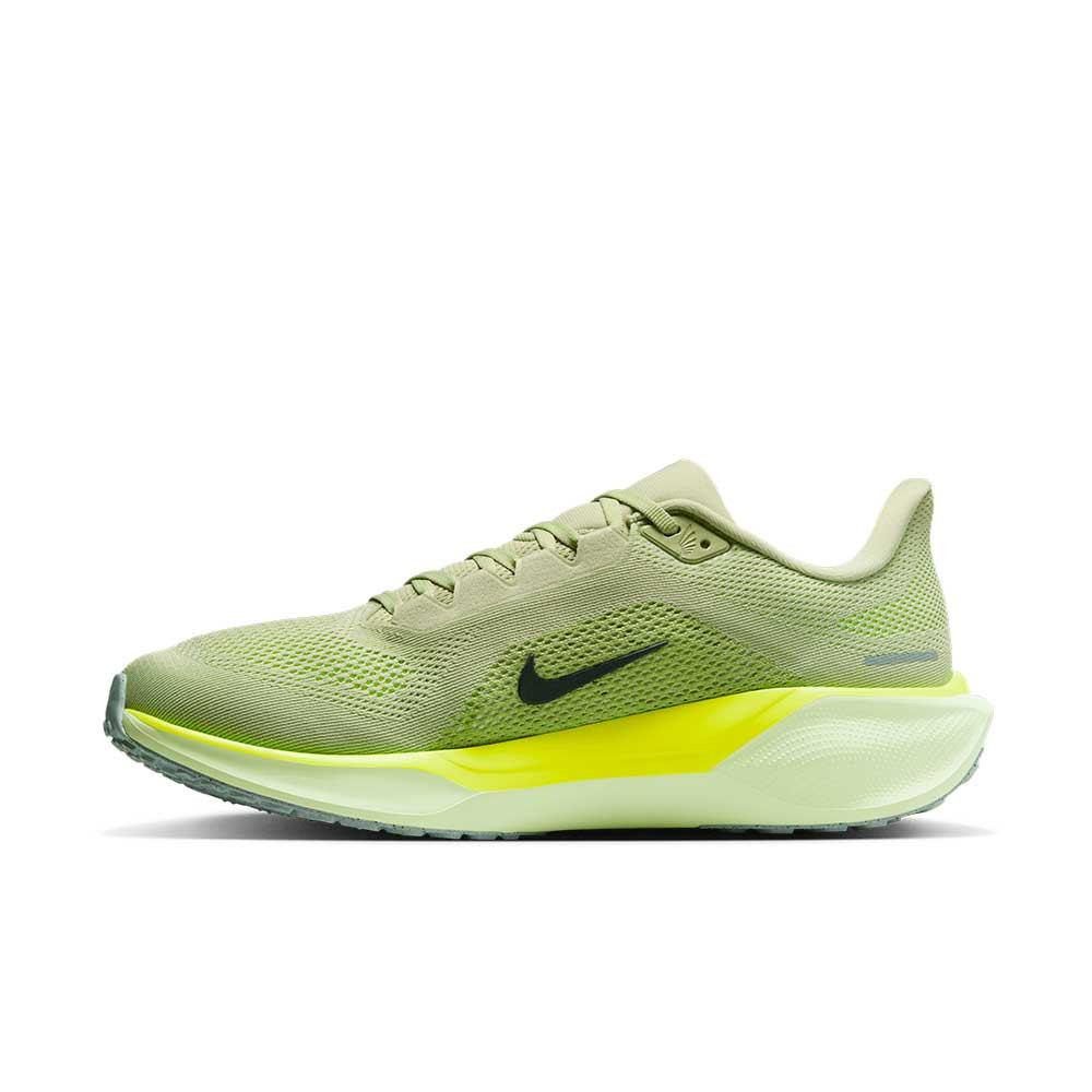 Zapatilla Nike Air Zoom Pegasus 41 FD2722-303