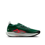 ZAPATILLA NIKE PEGASUS TRAIL 5 GTX FQ0908-301