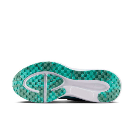Zapatilla Nike Revolution 8 HJ8485-300