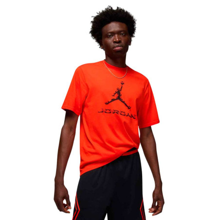 Camiseta Nike Jordan HQ9091-891