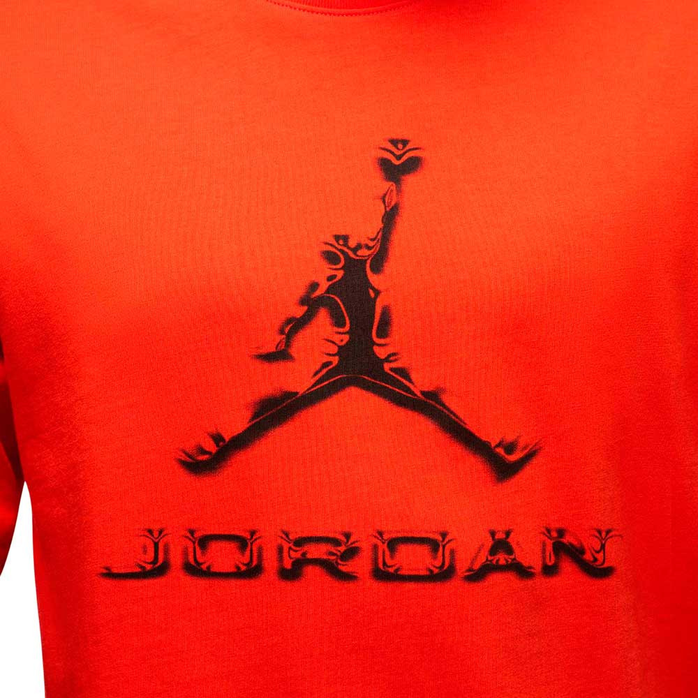 Camiseta Nike Jordan HQ9091-891