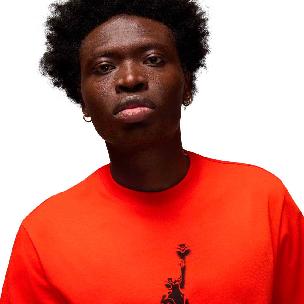 Camiseta Nike Jordan HQ9091-891