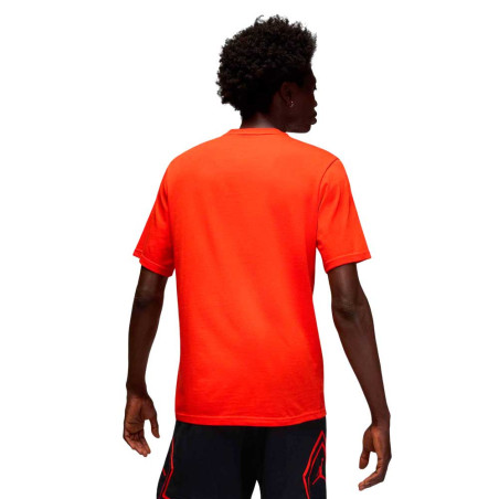 Camiseta Nike Jordan HQ9091-891