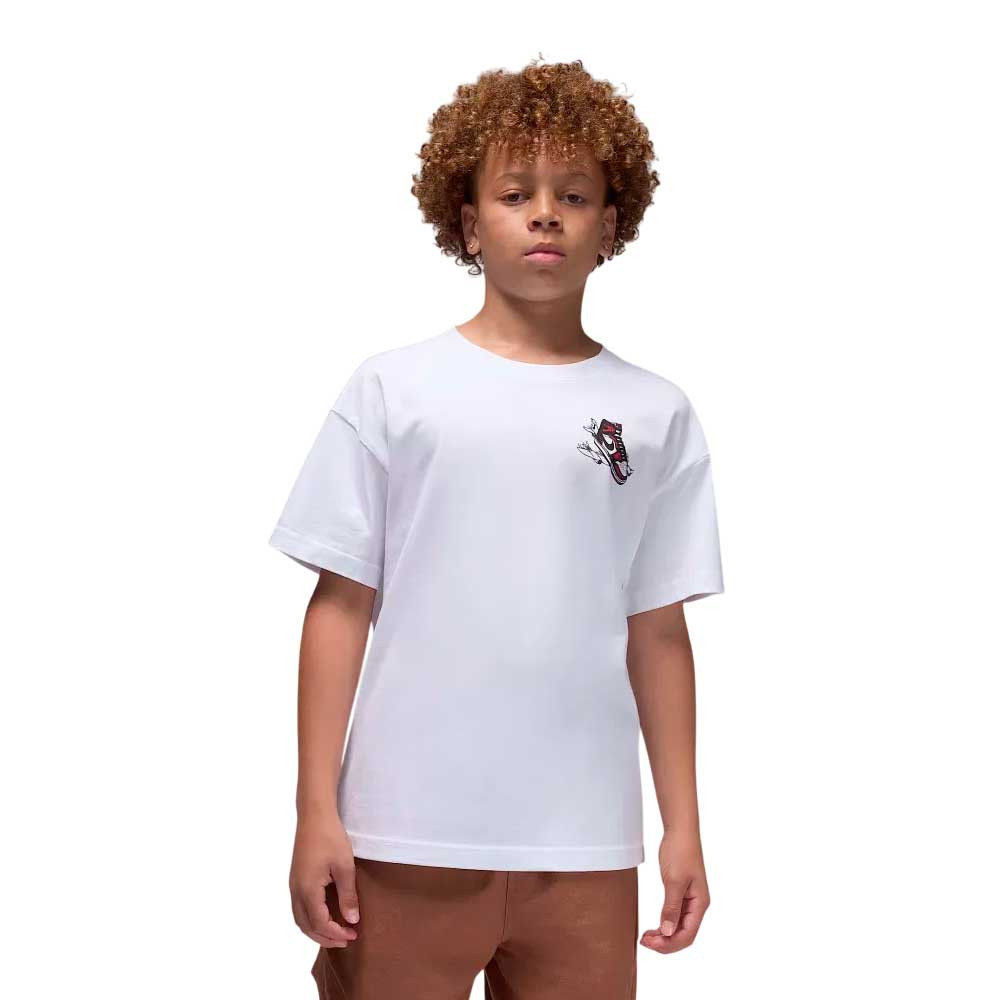 Camiseta Jordan Air Has Landed 85F279-001