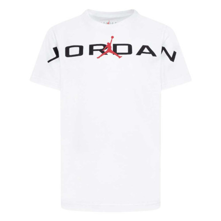 Camiseta Jordan Air 95D628-001