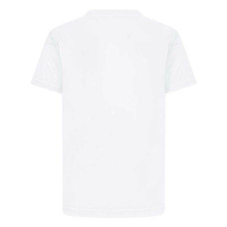 Camiseta Jordan Air 95D628-001