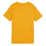 CAMISETA PUMA ESSENTIAL 685779-62