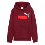 SUDADERA PUMA ESSENTIAL 685822-96