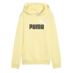 SUDADERA PUMA ESSENTIAL 685822-35