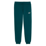 Pantalón Puma Essential 685824-75