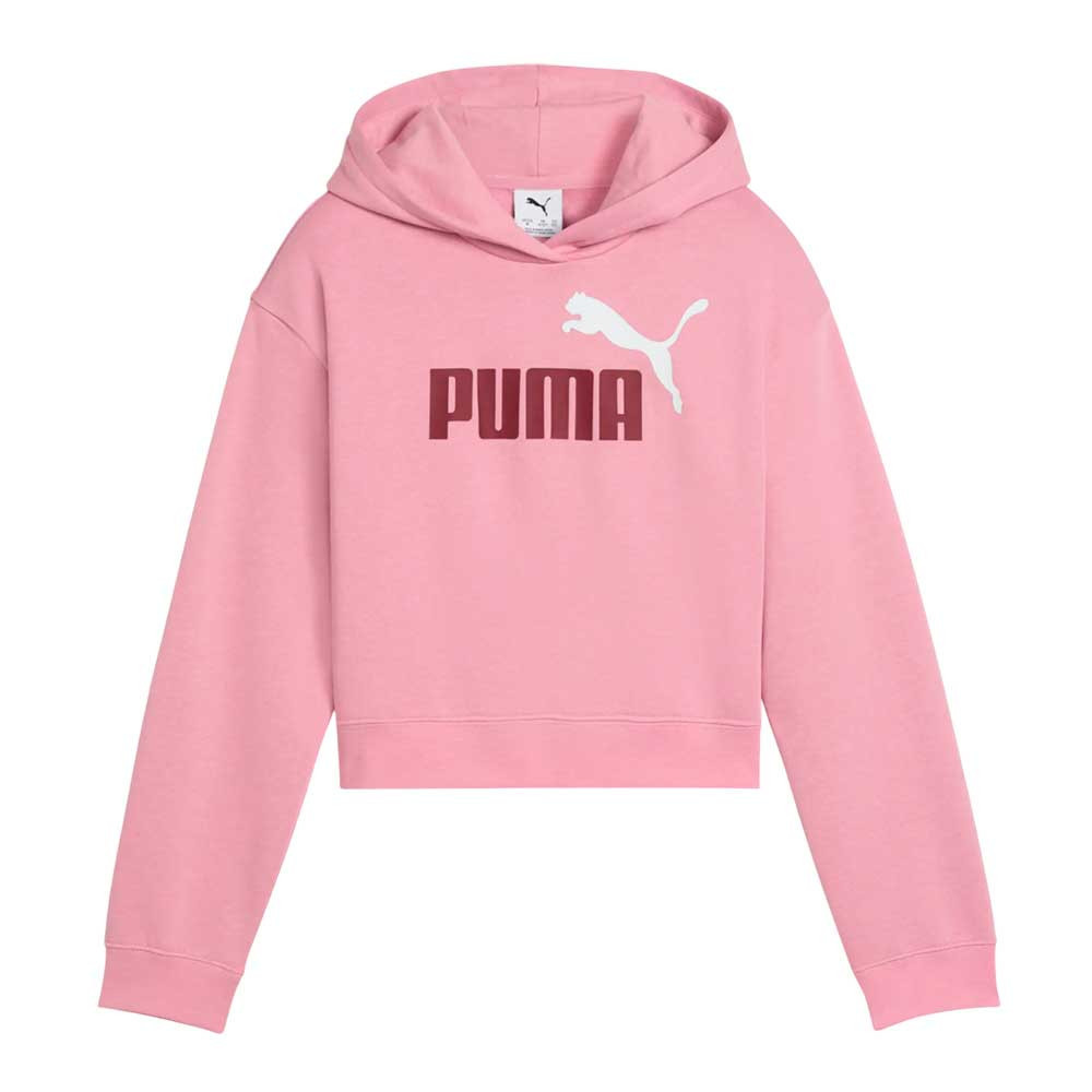 Sudadera Puma Essential 690717-65