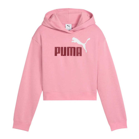 Sudadera Puma Essential 690717-65