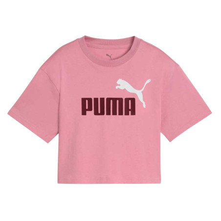 Camiseta Puma Essential 686071-65