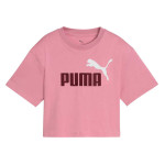 CAMISETA PUMA ESSENTIAL 686071-65