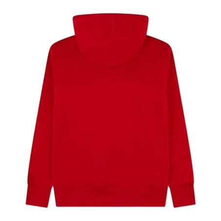 Sudadera Nike Jordan 95D665-R78