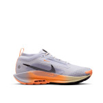 Zapatilla Nike Pegasus Trail 5 GTX FQ0912-011