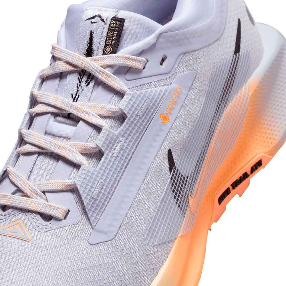 Zapatilla Nike Pegasus Trail 5 GTX FQ0912-011