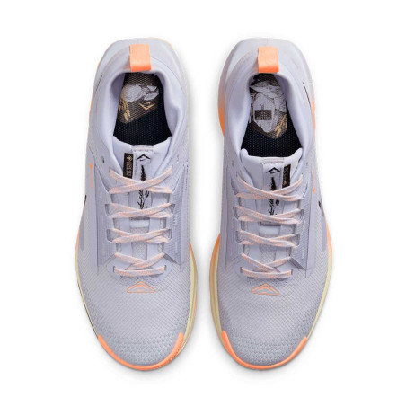 Zapatilla Nike Pegasus Trail 5 GTX FQ0912-011