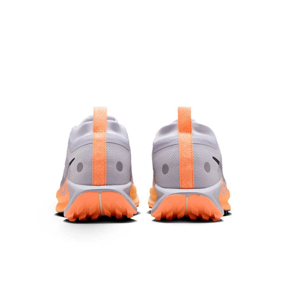 Zapatilla Nike Pegasus Trail 5 GTX FQ0912-011