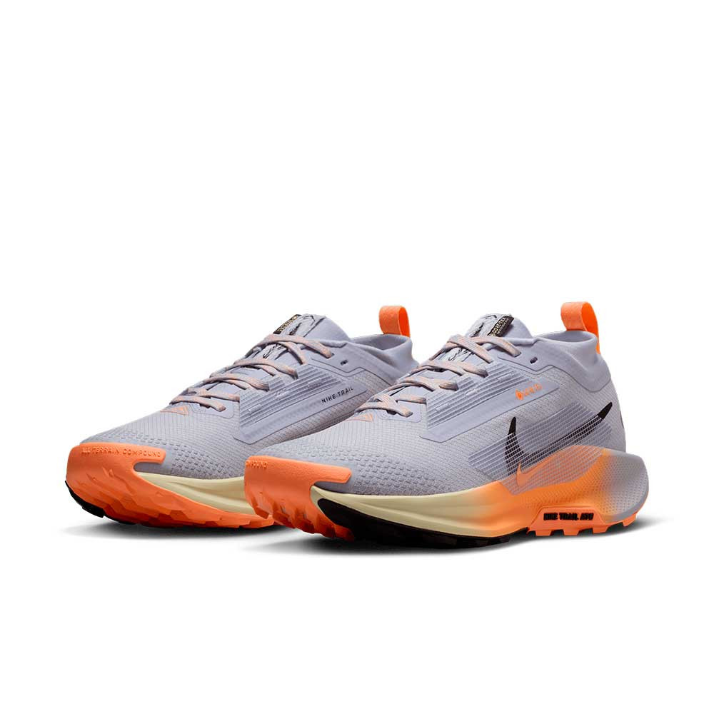 Zapatilla Nike Pegasus Trail 5 GTX FQ0912-011