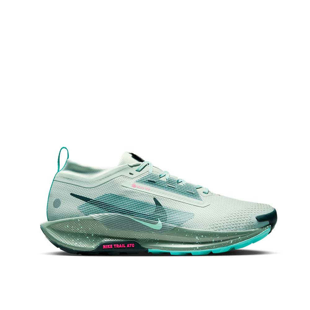 Zapatilla Nike Pegasus Trail 5 GTX FQ0908-013