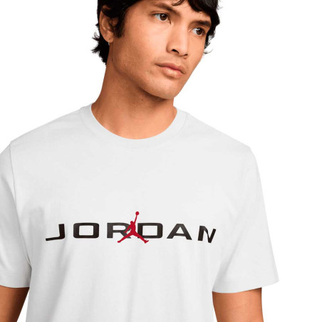 Camiseta Nike Jordan Air IB7353-101