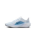 ZAPATILLA NIKE AIR ZOOM PEGASUS 41 FN5041-110