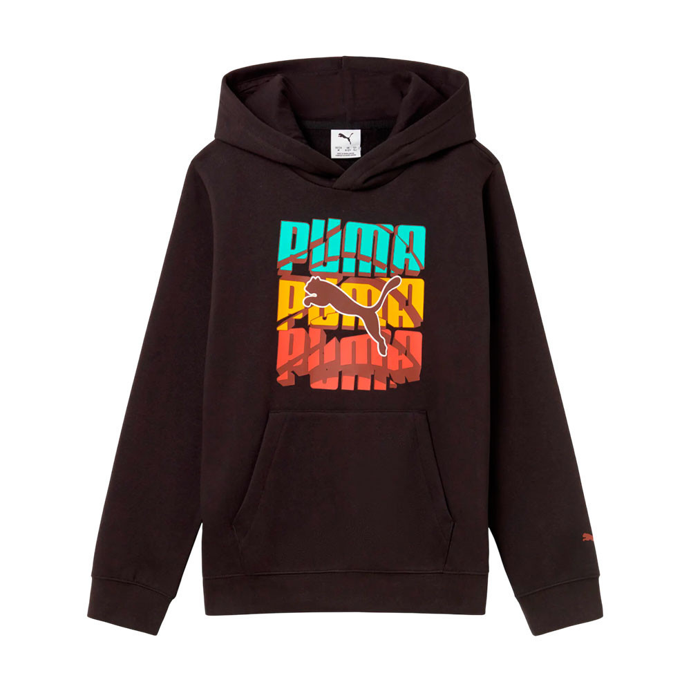 Sudadera Puma 693326-01
