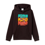 Sudadera Puma 693326-01