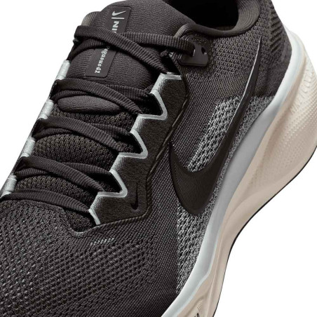 Zapatilla Nike Air Zoom Pegasus 41 FD2722-215