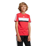 Camiseta adidas 3 Bandas Tiberio JI6213