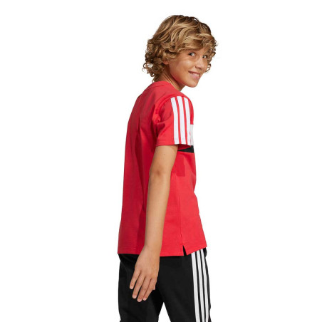 Camiseta adidas 3 Bandas Tiberio JI6213