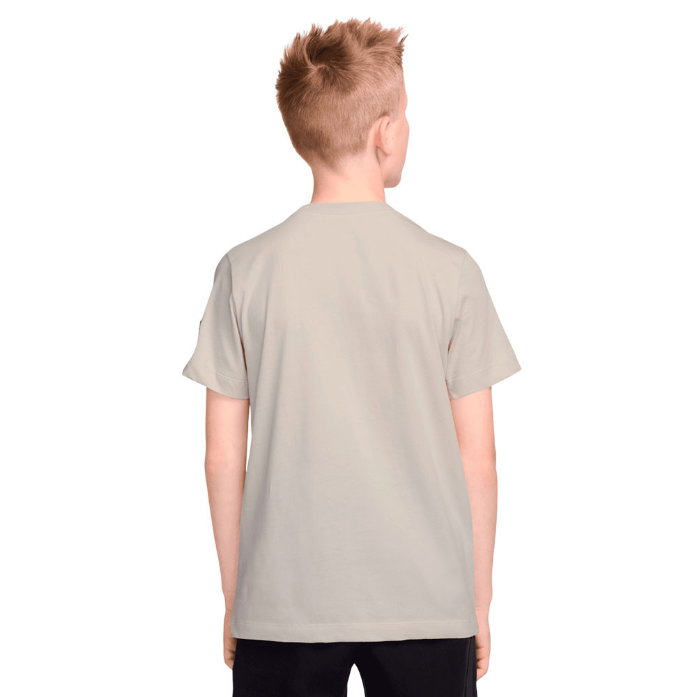 Camiseta Nike Air II0287-072