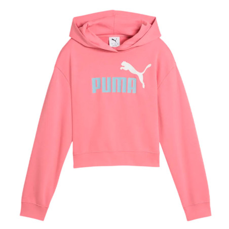 Sudadera Puma Essential 686072-25