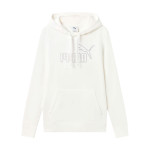 Sudadera Puma Essential 693555-02