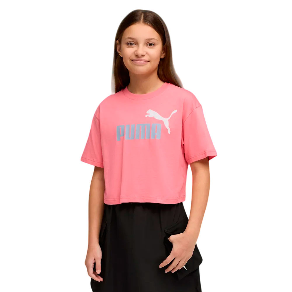 Camiseta Puma Essential 686071-25