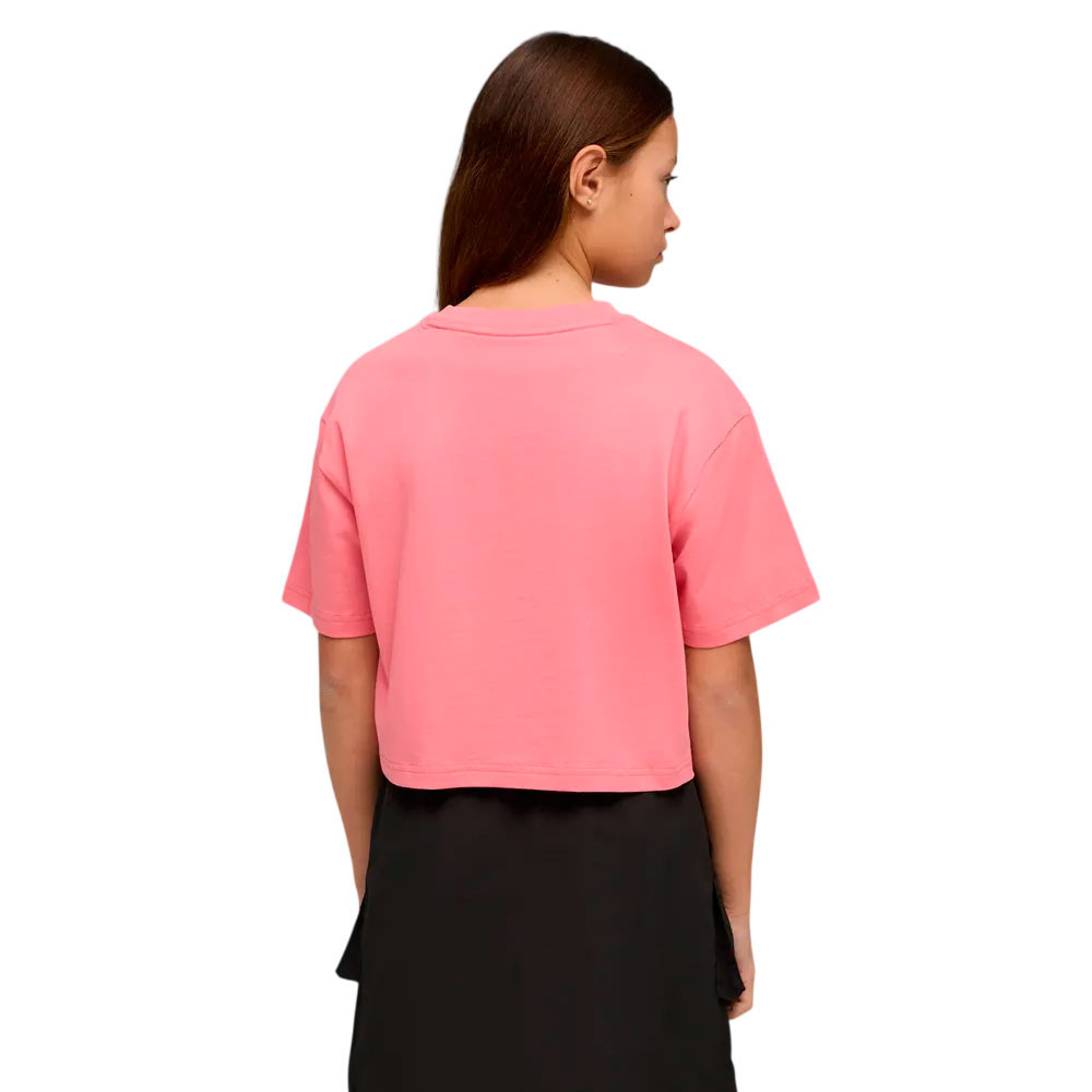 Camiseta Puma Essential 686071-25