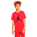 Camiseta Nike Jordan Jumpman 952423-R78